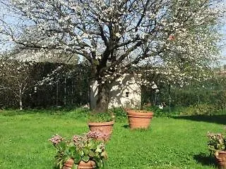 게스트하우스 Il Ramingo 루카