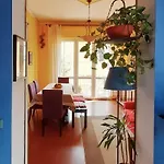 Il Ramingo 5*