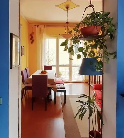 Il Ramingo 5*