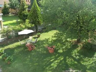 Il Ramingo